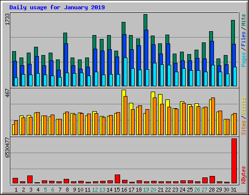 Daily usage for January 2019