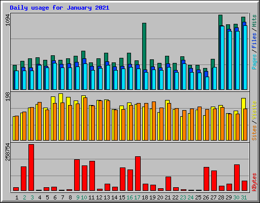 Daily usage for January 2021