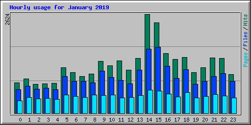 Hourly usage for January 2019