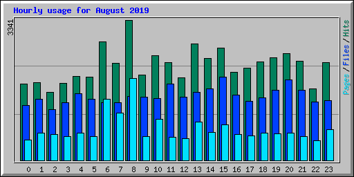 Hourly usage for August 2019