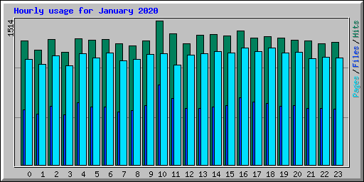 Hourly usage for January 2020