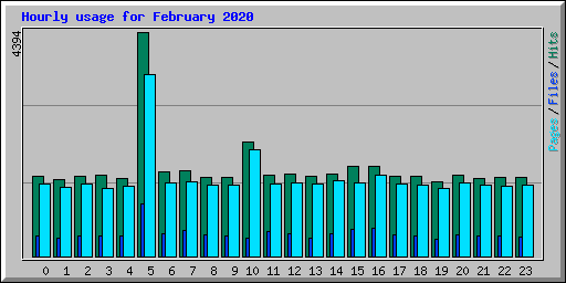 Hourly usage for February 2020