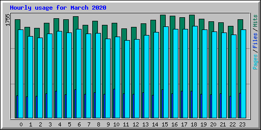 Hourly usage for March 2020