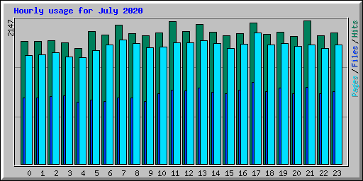 Hourly usage for July 2020