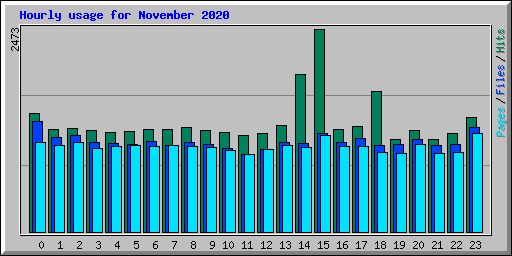 Hourly usage for November 2020