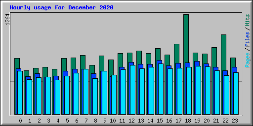 Hourly usage for December 2020