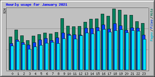 Hourly usage for January 2021