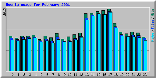 Hourly usage for February 2021