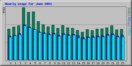 Hourly usage for June 2021