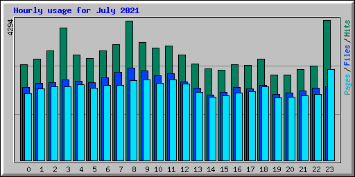 Hourly usage for July 2021