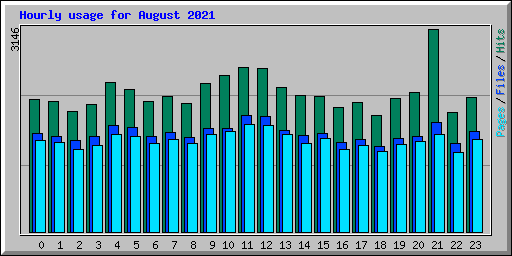 Hourly usage for August 2021